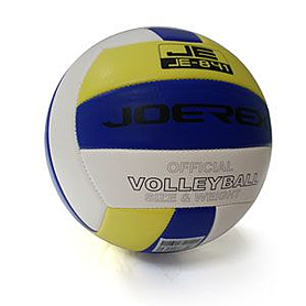 Мяч волейбольный Joerex JE-841
