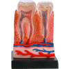 Набор Teeth & gums Зубы и десны - Фото №2