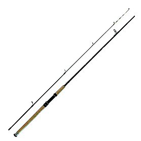 Спиннинг Salmo Diamond Jig Spin 300