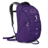 Рюкзак городской Osprey Axis 18 фиолетовый
