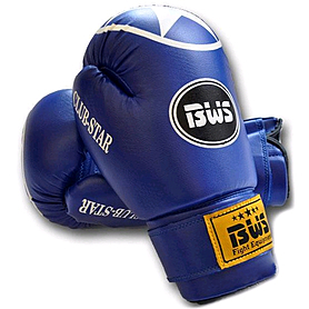 Перчатки боксерские World Sport Club Star синие