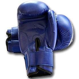 Перчатки боксерские World Sport Club Star синие - Фото №2