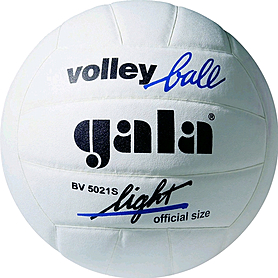 Мяч волейбольный Gala LightWhite BV5021SBE