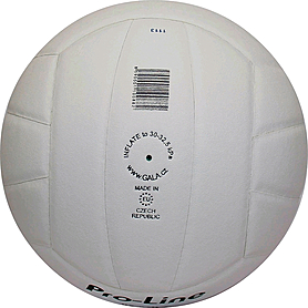 М'яч волейбольний Gala Pro-Line BV5211SAE - Фото №2