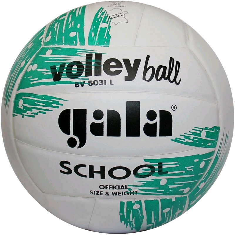 

Мяч волейбольный Gala School BV5031LBE