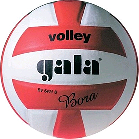 Мяч волейбольный Gala Bora BV5411SCE