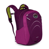 Рюкзак детский Osprey Koby 20 л фиолетовый