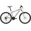 Велосипед горный Ghost SE 1300 2013 - 26", рама - 21", серый (12SE0028-52)