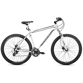 Велосипед горный Avanti Canyon 29ER - 29", рама - 21", белый матовый (RA-04-970M21-WHT-K)