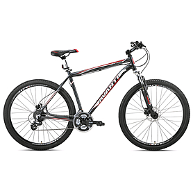 Велосипед горный Avanti Canyon 29ER - 29", рама - 19", серо-красный (RA-04-970M19-GRE/RED-K)