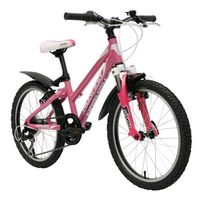 Велосипед детский NORMAN Girl - 20", розовый (normank-20p)