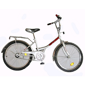Велосипед дитячий Baby Tilly Explorer - 20 ", срібний (BT-CB-0038)