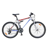 Велосипед горный Fort Charisma 2013 - 26", рама - 18", белый (BIC-26-G4)