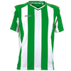 Футболка футбольная Joma Pisa зелено-белая
