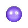Мяч для фитнеса (фитбол) массажный HMS 65 см с системой антиразрыва фиолетовый