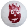 Мяч волейбольный Wilson Mr Wilson Castaway Match SS15