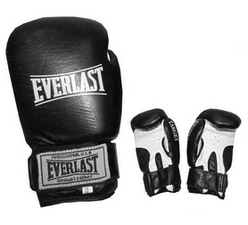 Перчатки боксерские Everlast Target BO-3340-BK кожаные черные