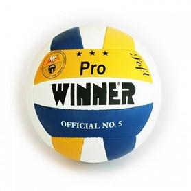 Мяч волейбольный Winner Pro