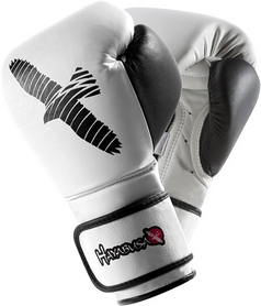 Перчатки боксерские Hayabusa Pro белые