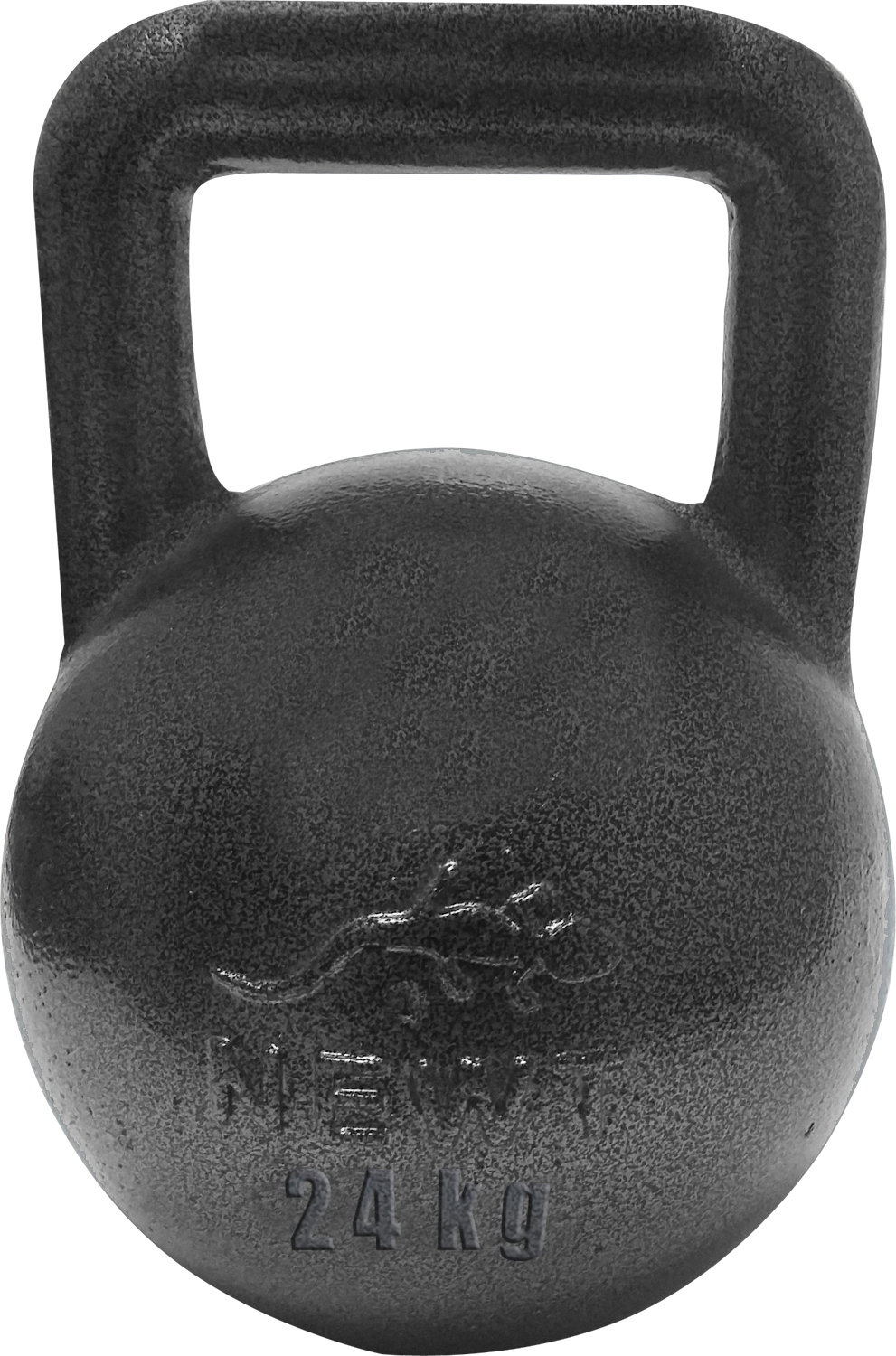 

Гиря чугунная Newt 24 кг NE-100-2400, Серый