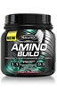 Аминокомплекс MuscleTech Amino Build, Performance Series (445 г)