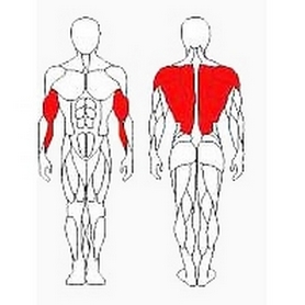 Блок для мышц спины (нижняя тяга) Wuotan  GB-02 - Фото №2