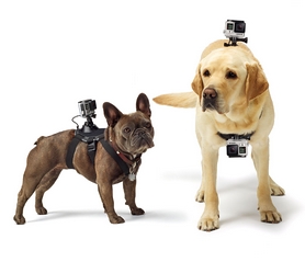 Крепление GoPro Fetch Dog Harness (ADOGM-001) - Фото №2