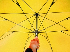Зонт Euroschirm Birdiepal windflex yellow W2W4-BYE/SU14055 - Фото №3