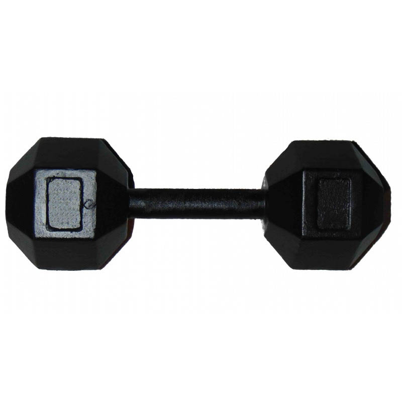 

Гантель профессиональная шестигранная Newt Profi 25 кг, Черный