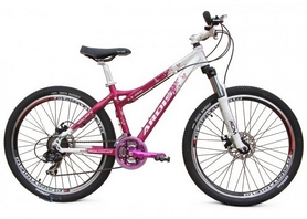 Велосипед подростковый горный Ardis LX-200 DB - 24", рама - 14", белый (AD-01331)