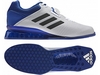 Штангетки Adidas Leistung16 BA9172 синьо-білі