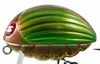 Воблер Salmo Lil’Bug 5,5 см 26 гр - GBG