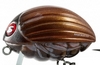 Воблер Salmo Lil’Bug 5,5 см 26 гр - MBG