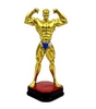 Статуетка (фігурка) нагородна спортивна ZLT "Бодібілдинг" C-2245-A5