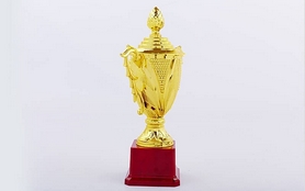 Кубок ZLT С-122B золотий, висота 24,5 см - Фото №2