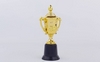Кубок ZLT C-4854 золотий, висота 27,5 см - Фото №2