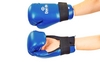 Перчатки для тхэквондо Daedo VL-5823-B синие