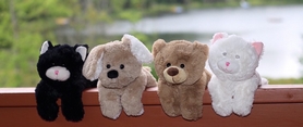 Игрушка мягкая ToyTarget Zookies "Котенок" черный, 17 см - Фото №5