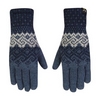 Перчатки зимние Salewa Fanes Wool Gloves 25366/8961 синие