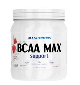 Аминокомплекс AllNutrition BCAA Max Support  (500 г)