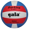 Мяч волейбольный Gala Pro-Line BV4051SAE BV 4051SAE
