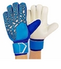 Перчатки вратарские с защитными вставками на пальцы Reusch FB-888-1 синие