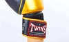 Перчатки боксерские Twins FBGV-TW4-BKG золотые - Фото №4