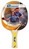 Ракетка для настольного тенниса Donic Level 300 MT-703204 Swedish Legends