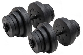 Гантели наборные композитные Hop-Sport Trex Sport, 2 шт по 20 кг