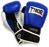 Перчатки боксерские Thor Ultimate Leather синие (551/03)