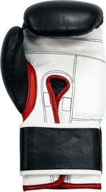 Перчатки боксерские Thor Shark Leather черные (8019/03) - Фото №3