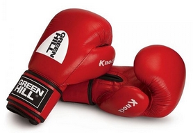 Рукавички боксерські з печаткою ФБУ Green Hill Knock, червоні (KBK-2105) - Фото №2