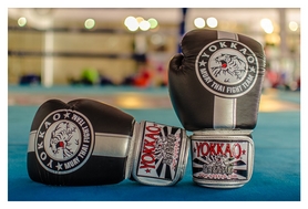 Перчатки боксерские Yokkao Official Fight Team Gloves Silver Edition, черно-серые (FP-FYGL-23-31) - Фото №3