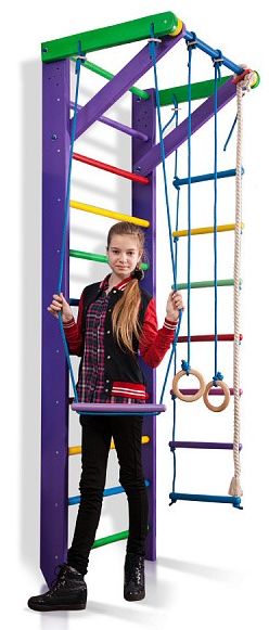 

Уголок спортивный детский SportBaby Карусель 2-240 см (SB-057), Фиолетовый